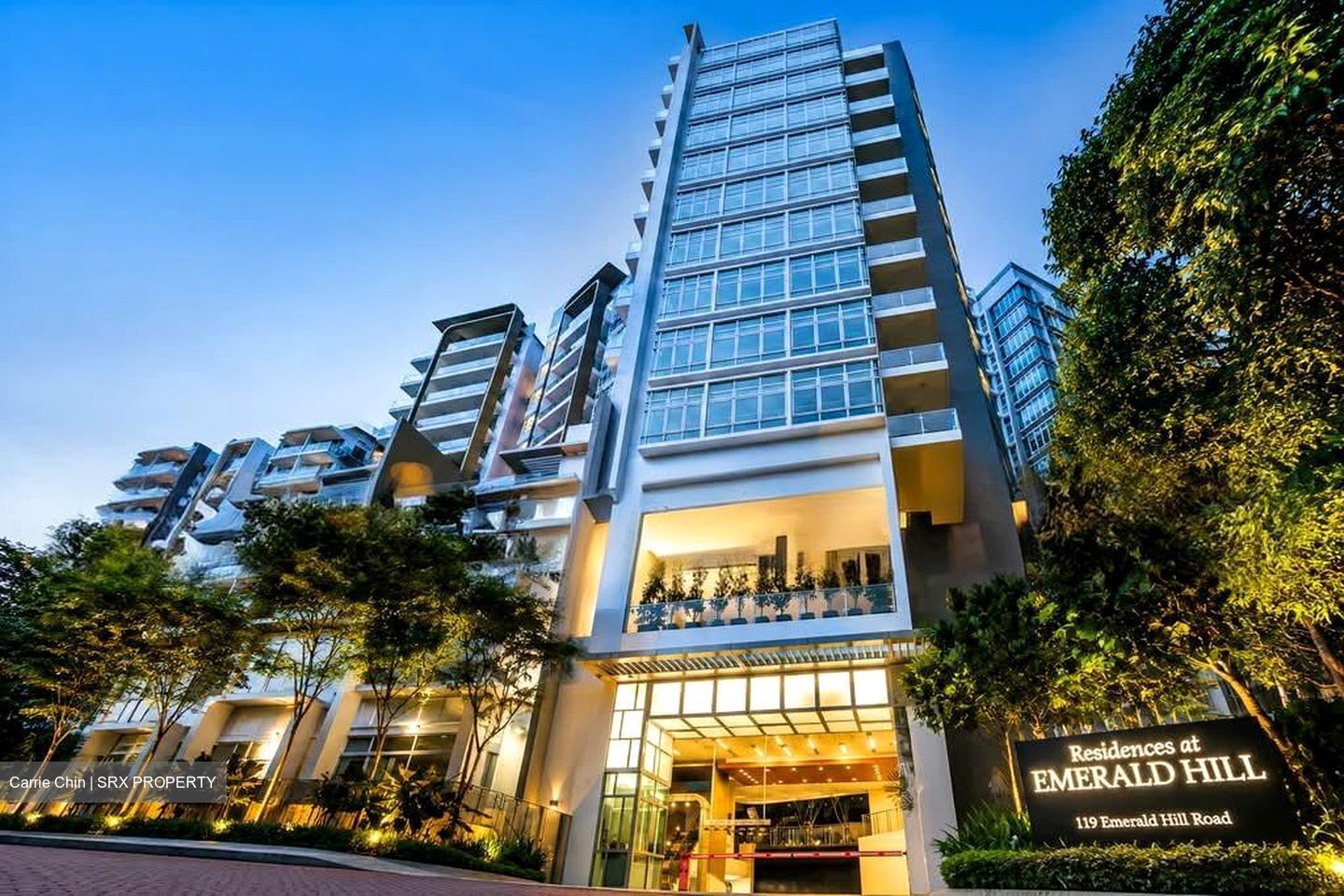 RESIDENCES AT EMERALD HILL (D9), Apartment #578329941